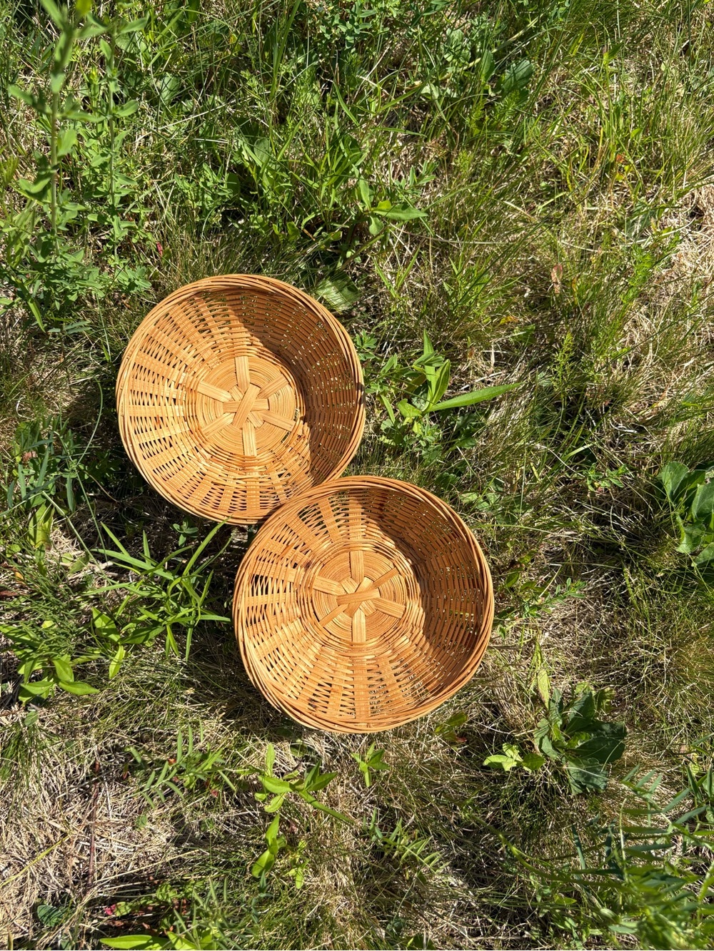 Natural Woven Round Bowls- Set of 2